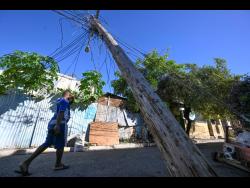 Dennis Minott | Small axes, bigger impact, greener Jamaica’s futures | In Focus