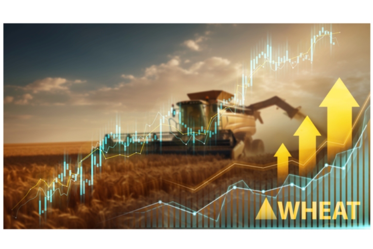 CME to launch spring wheat futures contract